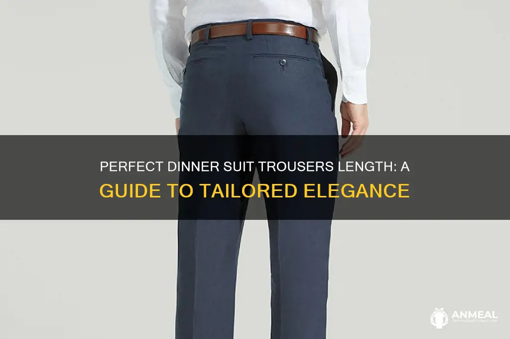 how long should dinner suit trousers be