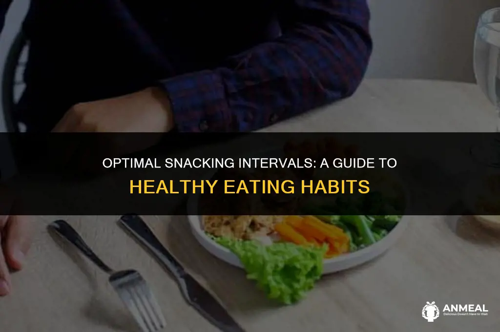 how long should you wait to eat between snacks