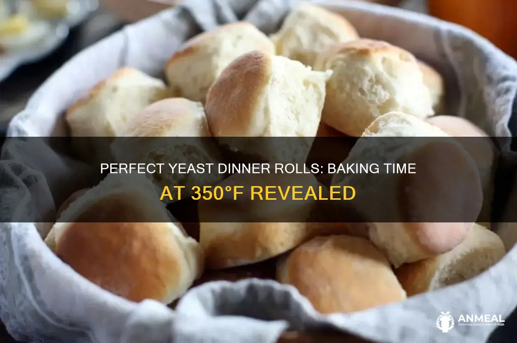 how long to bake dinner rolls at 350 with yeast