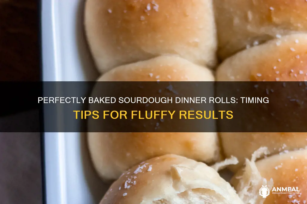 how long to bake sourdough dinner rolls