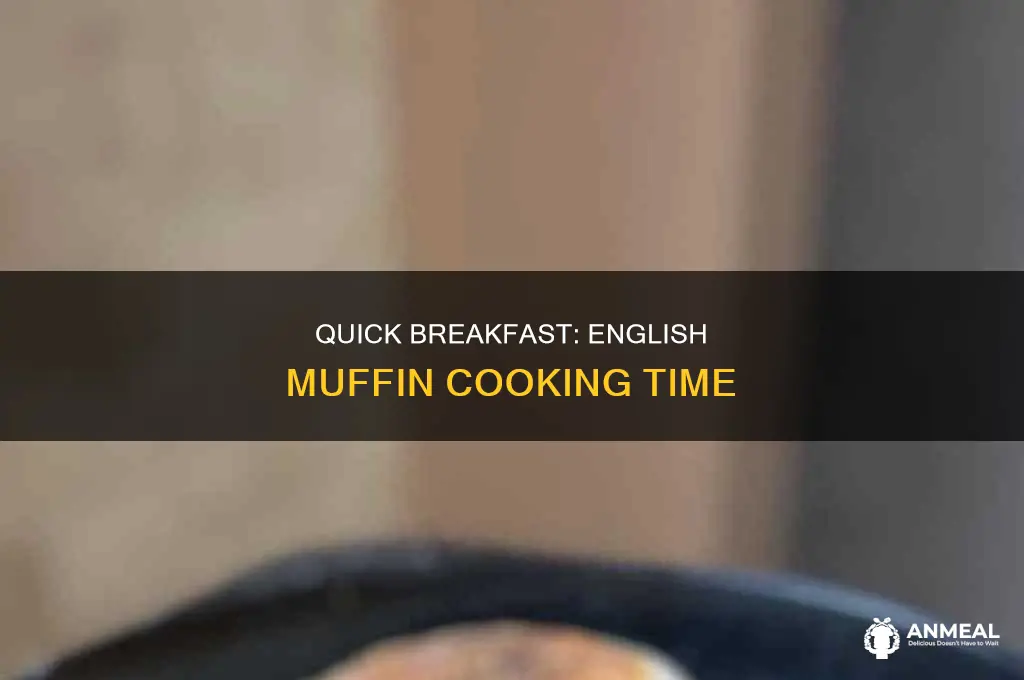 how long to cook a jimmy dean breakfast english muffin