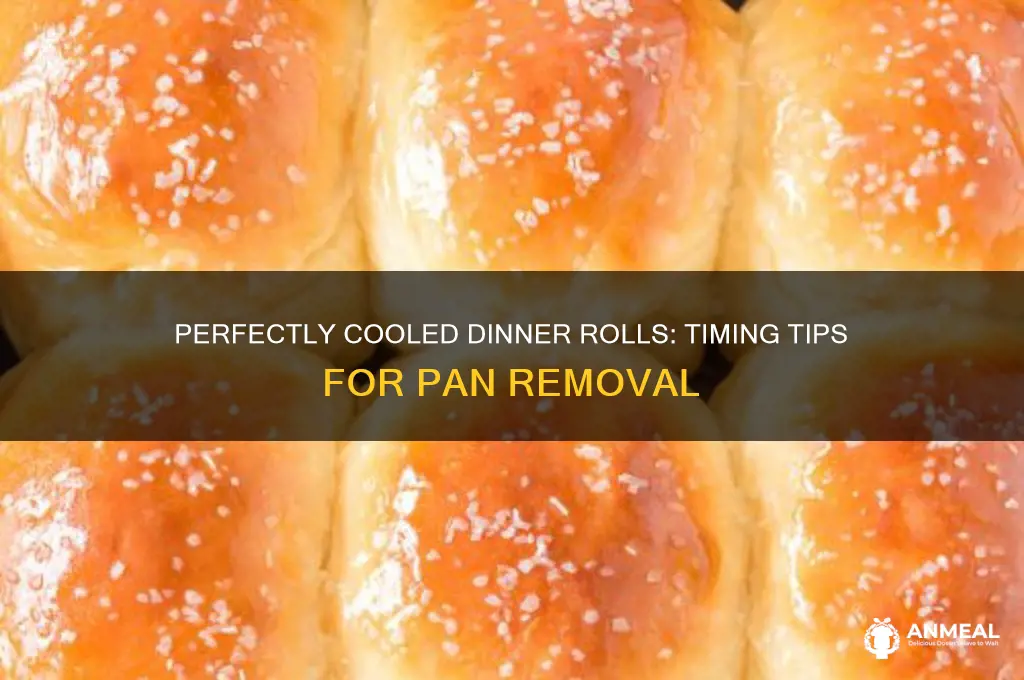how long to cool dinner rolls in pan before removing