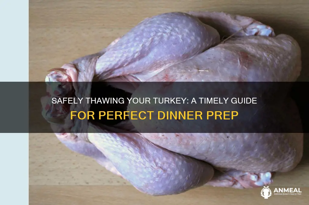 how long to dethaw turkey for dinner