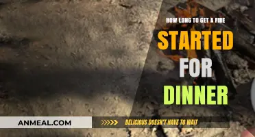Quick Fire-Starting Tips for Cooking Dinner Outdoors Efficiently
