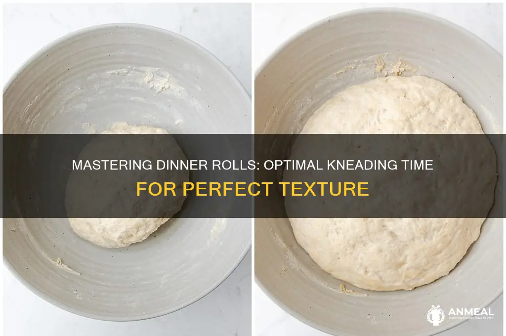how long to knead dinner roll dough