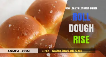 Perfect Dinner Rolls: Mastering the Ideal Dough Rise Time