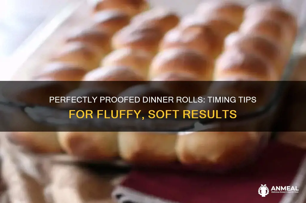 how long to proof dinner rolls