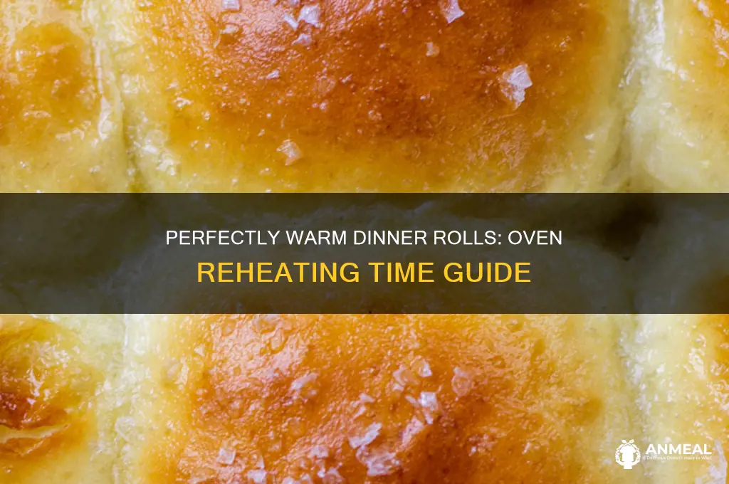 how long to reheat dinner rolls in oven