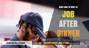 Post-Dinner Job Hunt: Timing Tips for Optimal Productivity
