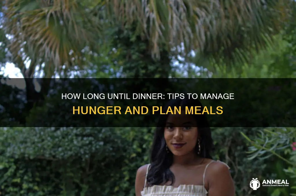 how long until dinner