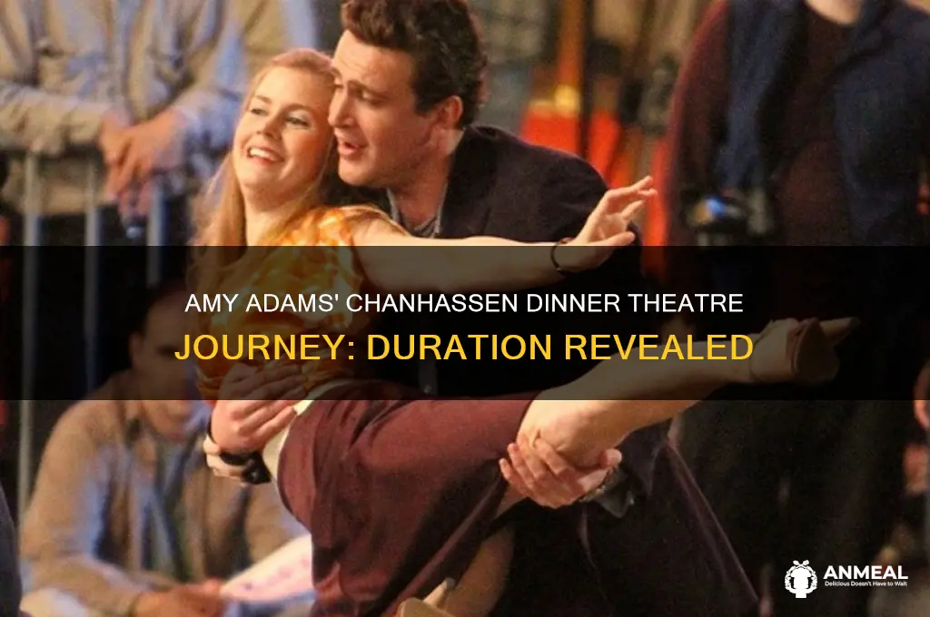 how long was amy adams at the chanhassen dinner theatre