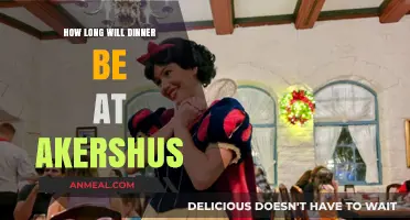 Akershus Dining Duration: How Long Will Your Dinner Last?