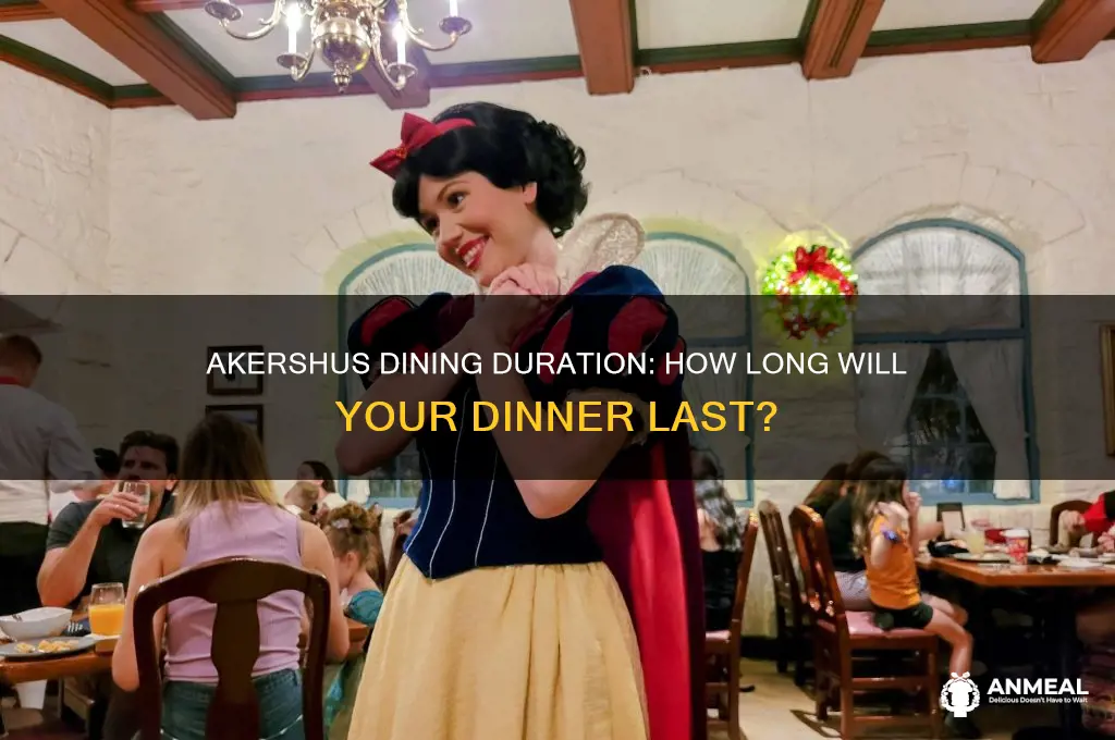 how long will dinner be at akershus