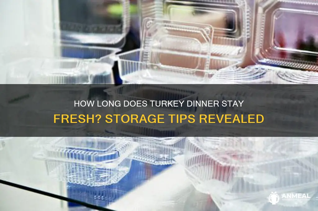 how long will turkey dinner last