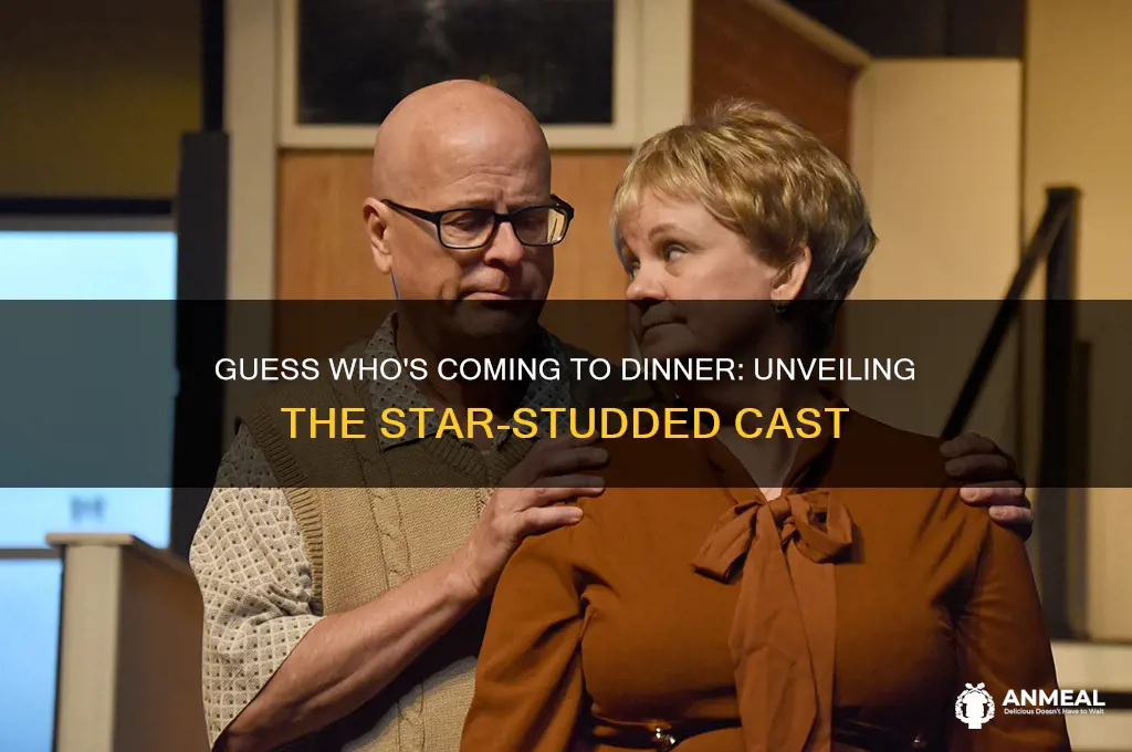 how many actors are in guess who