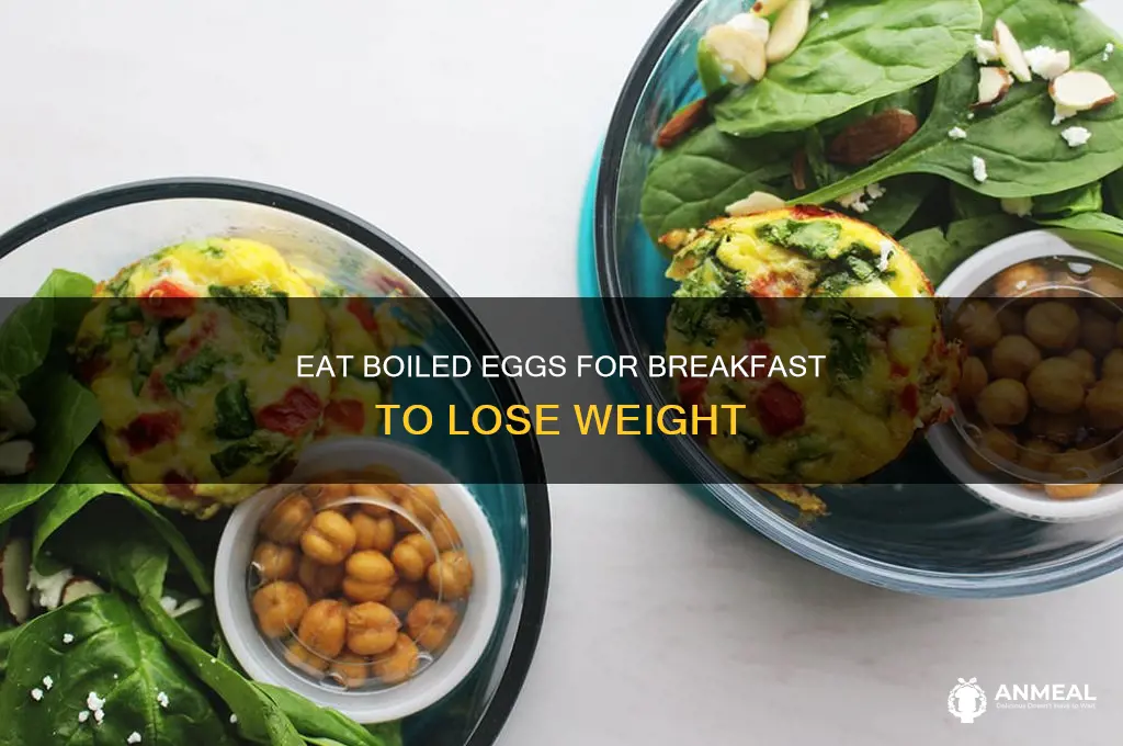 how many boiled eggs for breakfast to lose weight