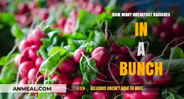 Breakfast Radishes: How Many in a Bunch?