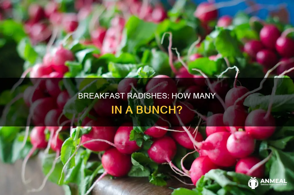 how many breakfast radishes in a bunch