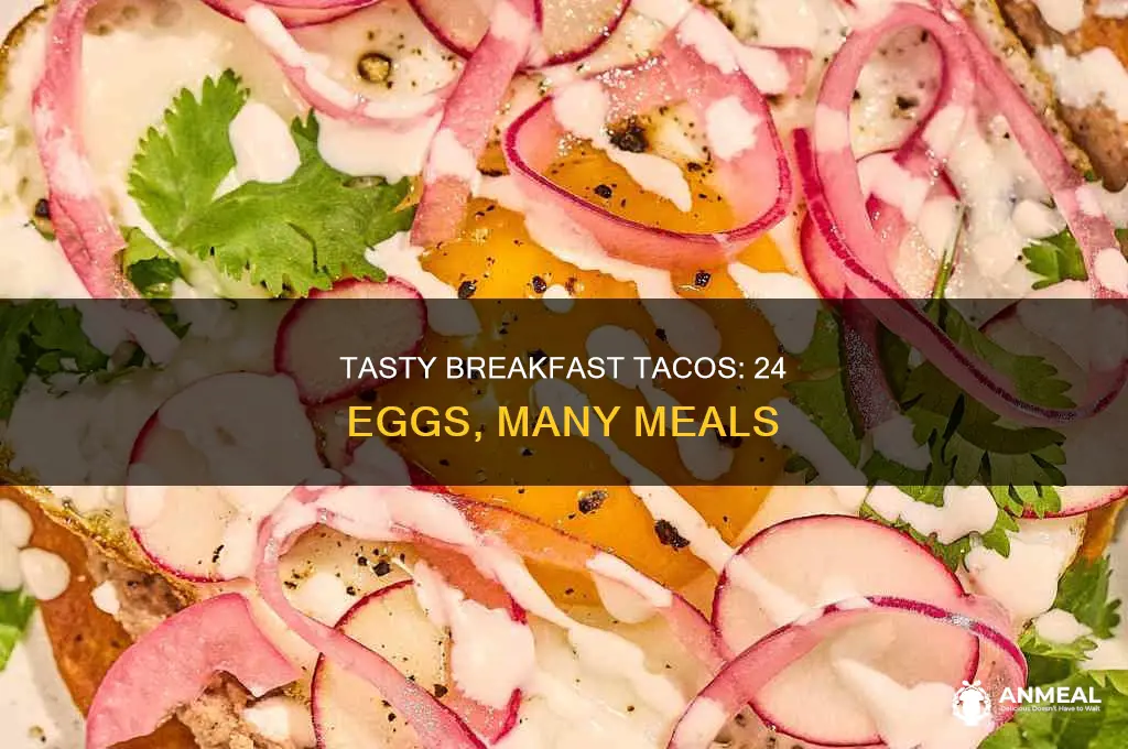 how many breakfast tacos with 24 eggs
