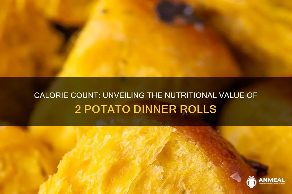 how many cal in 2 potato dinner rolls