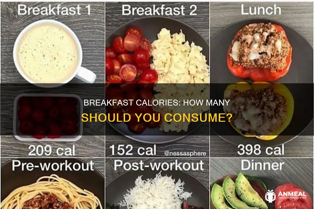 how many cal is breakfast supposed to be