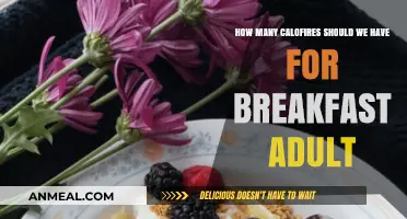 Breakfast Calories: How Many Should Adults Consume?