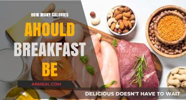 Strategizing Breakfast Calories for a Healthy Start