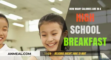 Calorie Counting: School Breakfasts, What's the Damage?