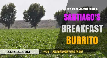Santiago's Breakfast Burrito: Calorie-Rich Morning Treat