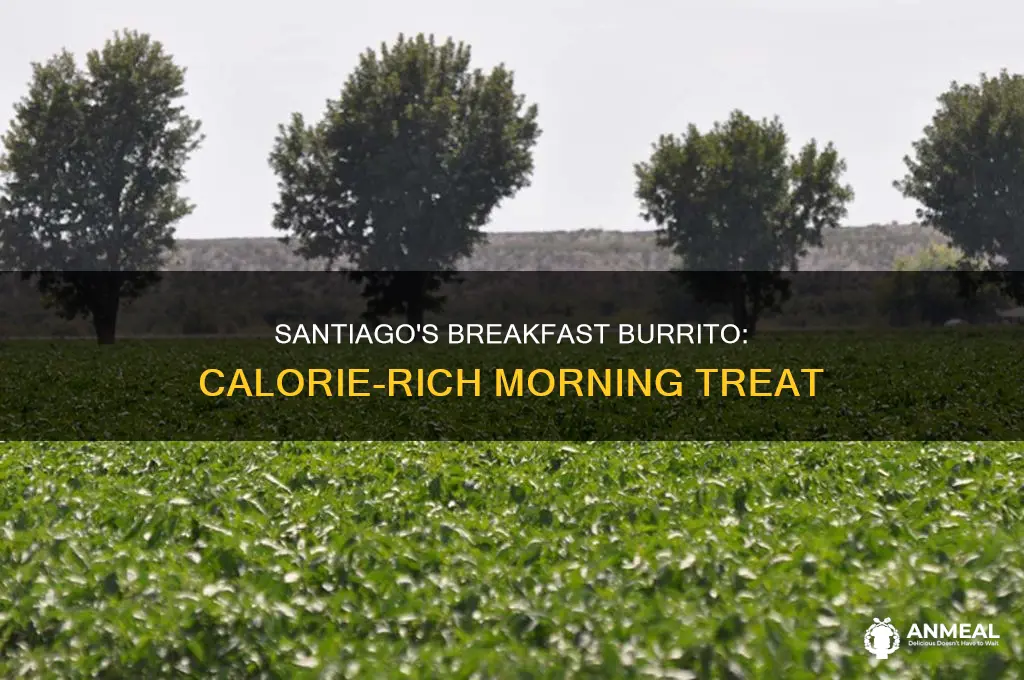 how many calories are in a santiago