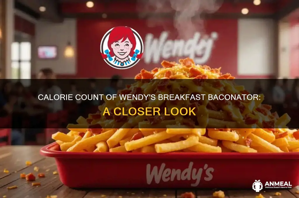 how many calories are in a wendy