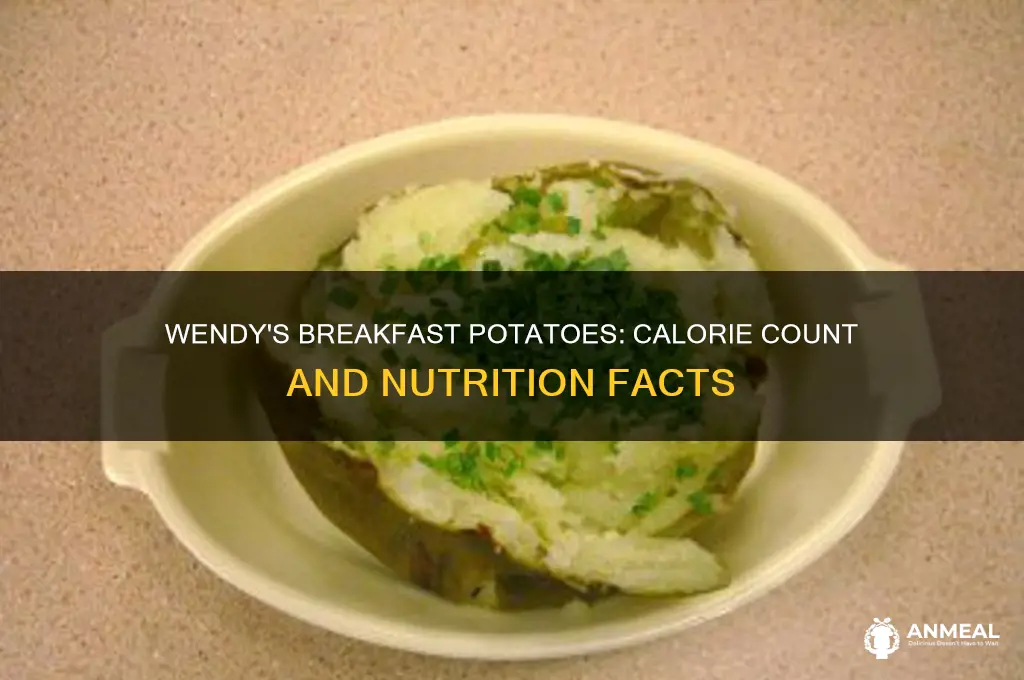 how many calories are in wendy