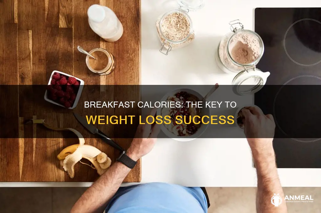 how many calories at breakfast to lose weight