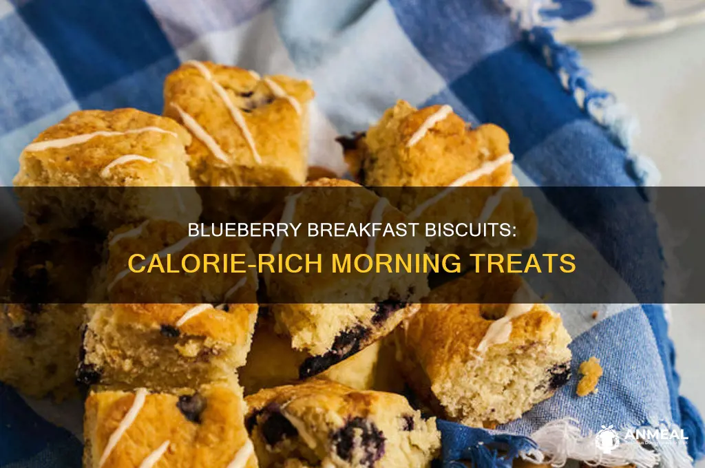 how many calories do blueberry breakfast biscuits have