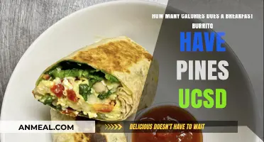 Breakfast Burrito Calories: What You Need to Know