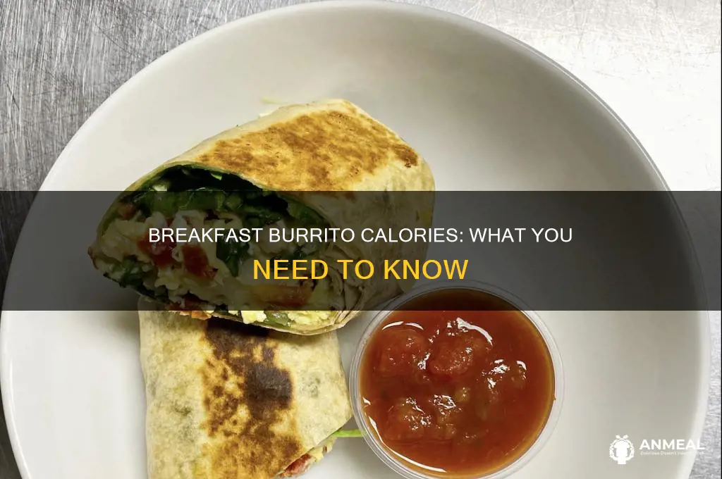 how many calories does a breakfast burrito have pines ucsd