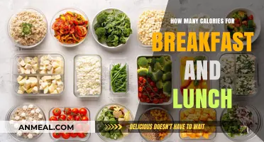 Calorie Counting: Breakfast and Lunch Edition