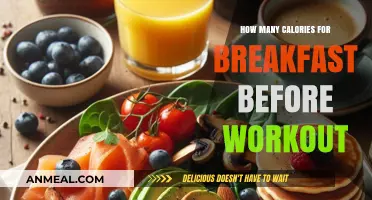Fuel Your Workout: Breakfast Calories Count