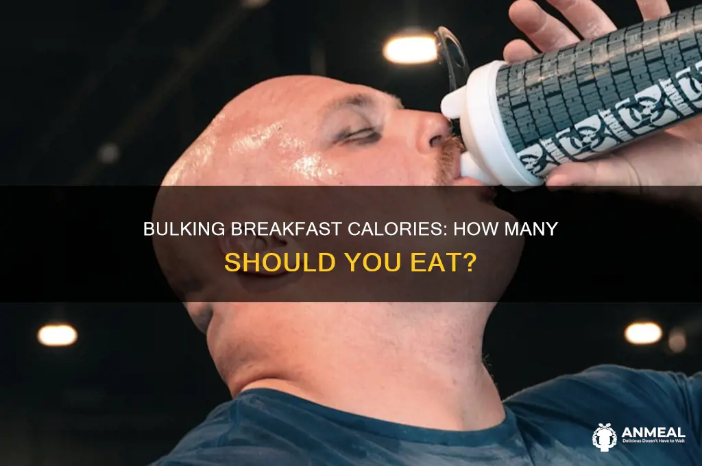how many calories for breakfast bulking