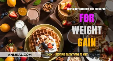 Breakfast Calories: The Key to Healthy Weight Gain