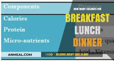 Balancing Your Daily Caloric Intake: Breakfast, Lunch, and Dinner Guide