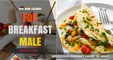 Calorie-Conscious Breakfasts: How Many for Men?