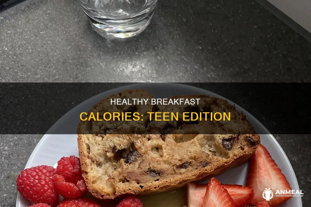 how many calories for breakfast teenager