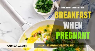 Pregnant Breakfast Calories: How Many to Eat?