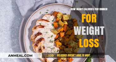 Calorie-Smart Dinner Choices: Fueling Weight Loss One Meal at a Time