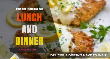 Balancing Calories: Optimal Lunch and Dinner Intake for Healthy Eating