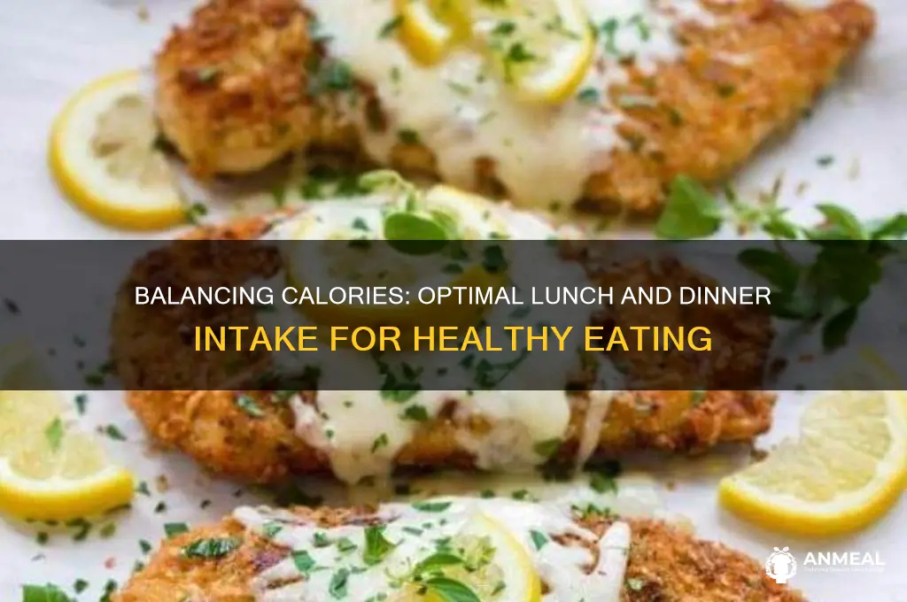 how many calories for lunch and dinner