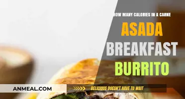 Calorie-Counting: Carne Asada Breakfast Burrito Edition