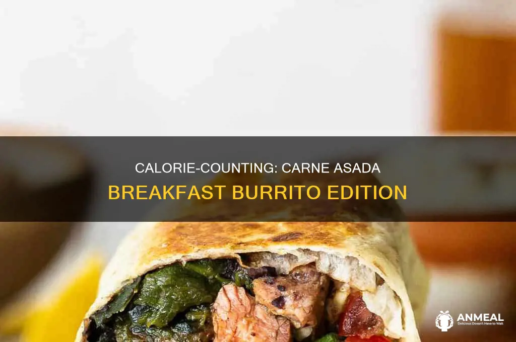 how many calories in a carne asada breakfast burrito