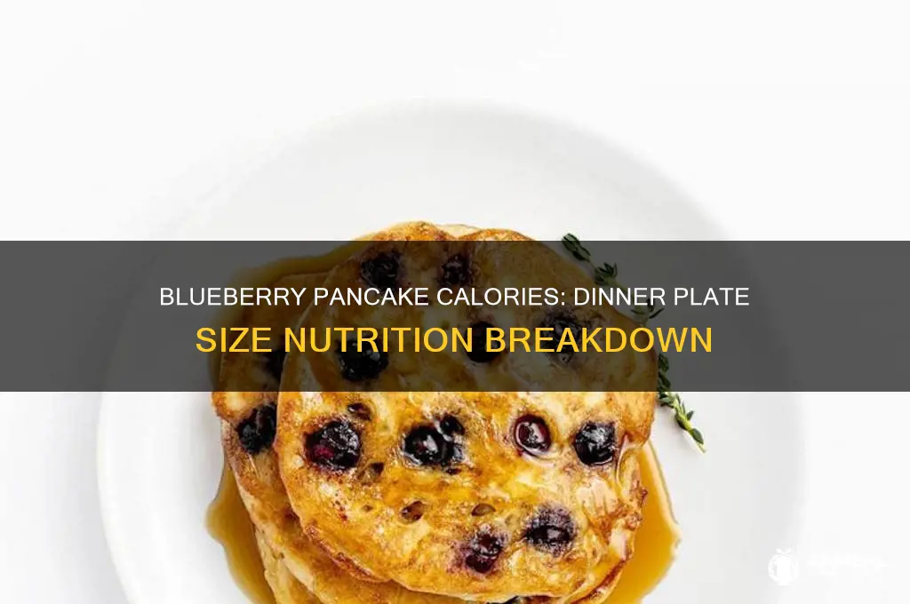how many calories in a dinner plate sized blueberry pancake
